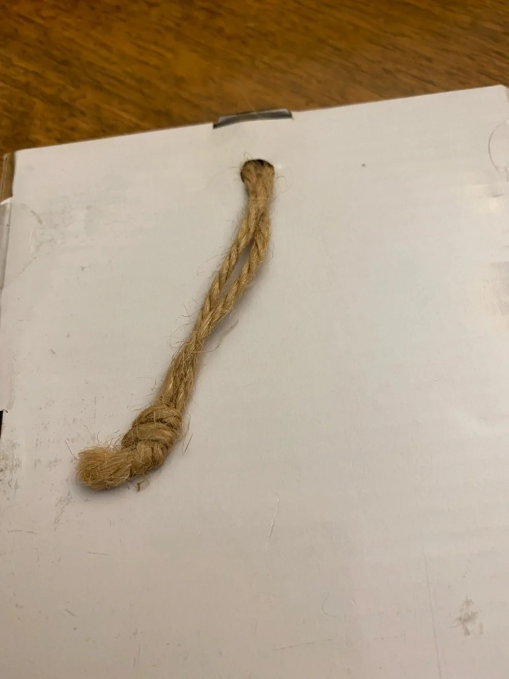 FREE Rescue Dog Frame - Picture 6 of 6